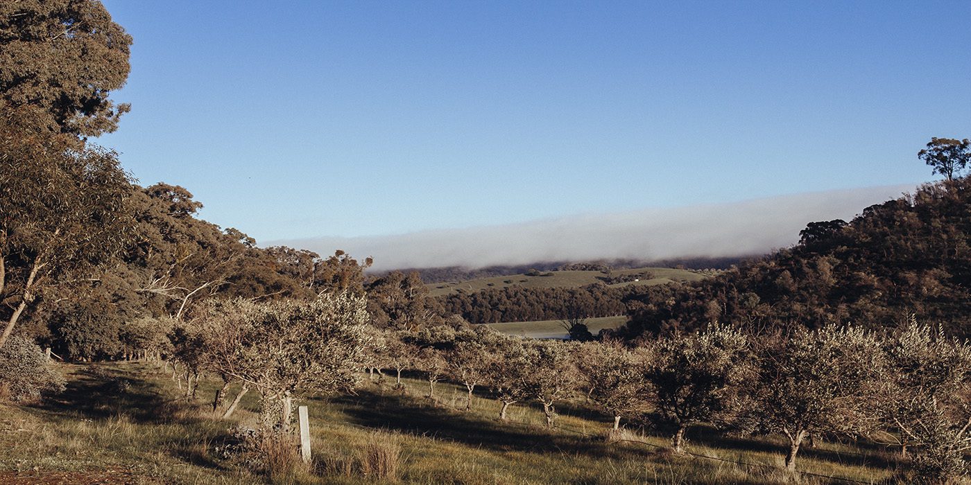 Bilyara Springs, Strathbogie Ranges